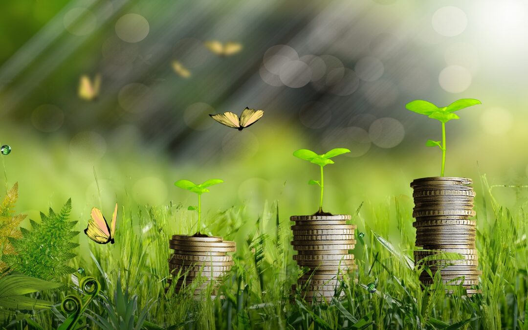 Fondi ESG e SRI: quando conviene investire?