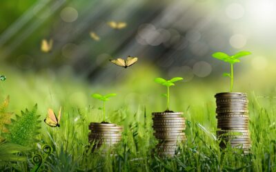 Fondi ESG e SRI: quando conviene investire?